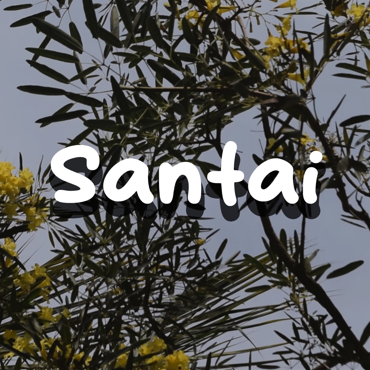 Santai - Single by MpFlow album cover
