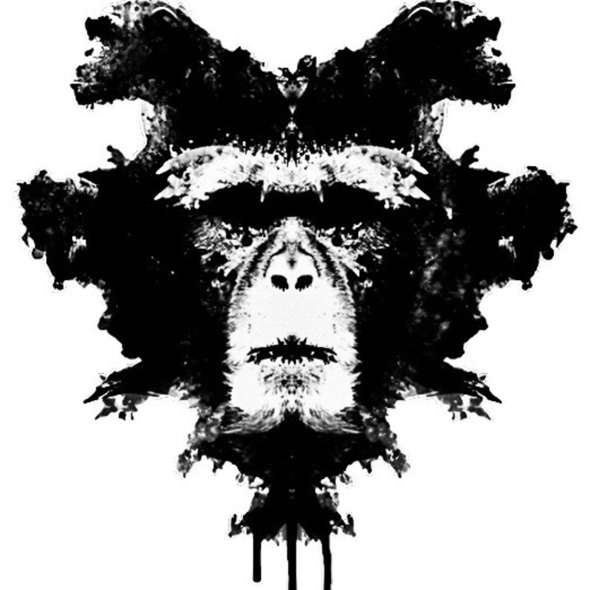Sumando (LOS MONOS CON LOS DIABLOS) - Single by Certero Negga, QUIMICA, El Maylor & Maykol Kapone album cover