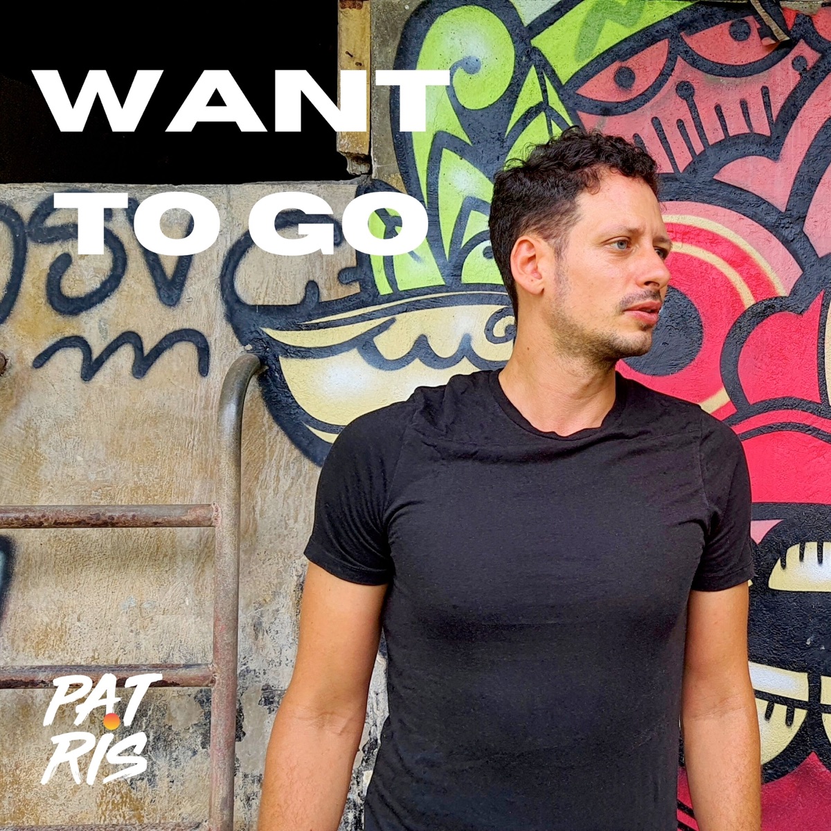 Want To Go - Single by Patris album cover
