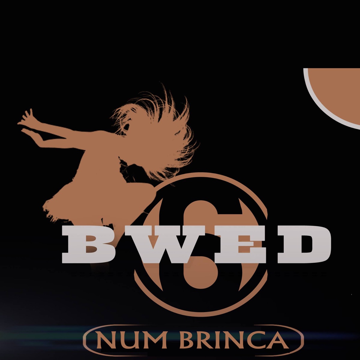 Num Brinca - Single by Dupla Bwed6nas album cover