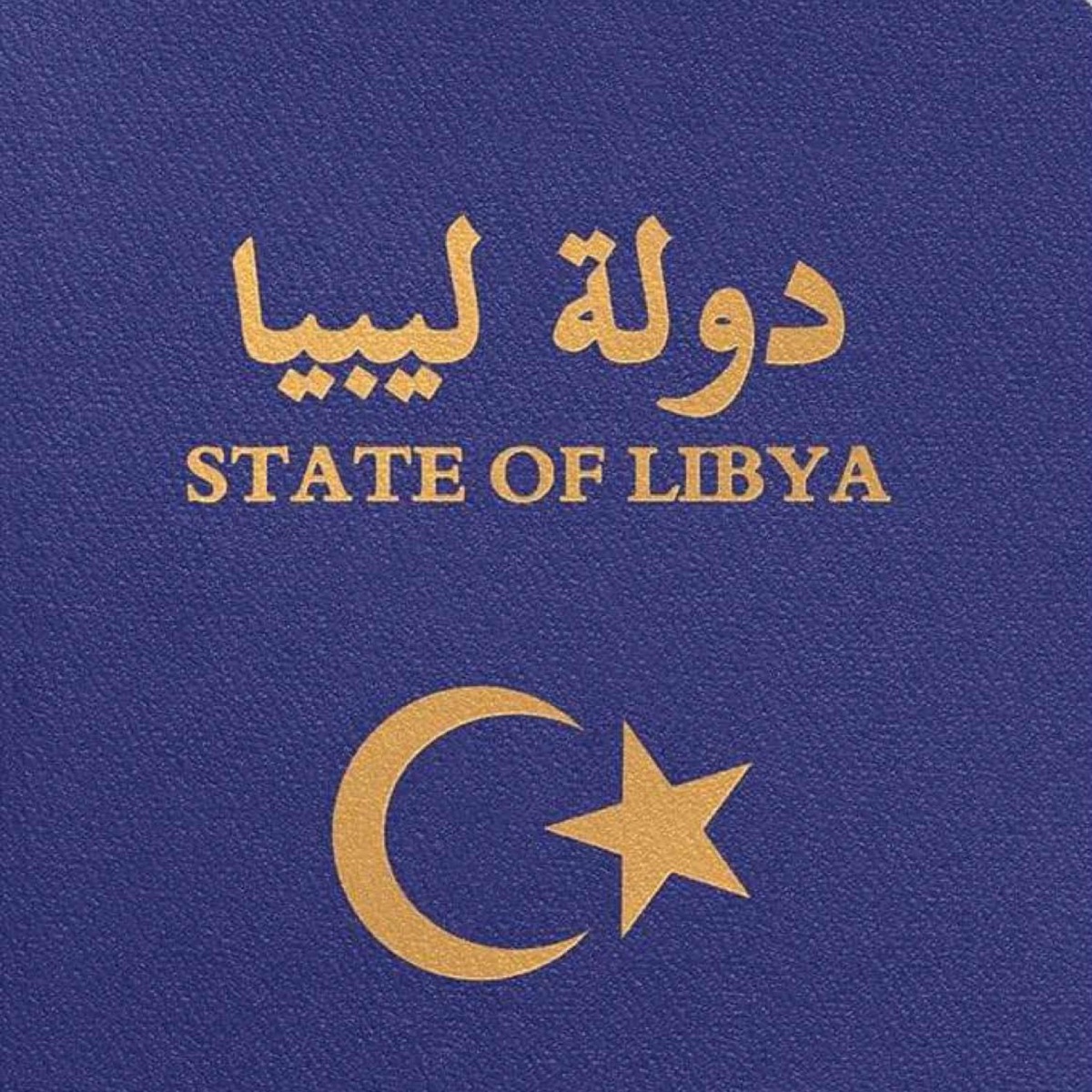 Libya On Speed - Single by BADER album cover