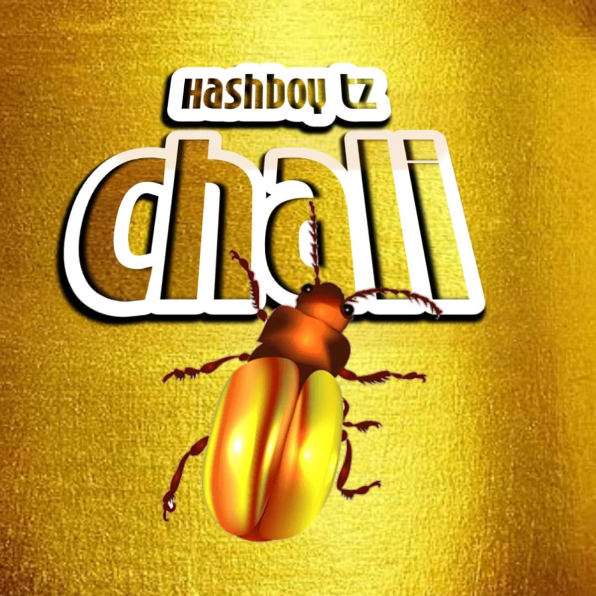 Chali - Single by Hashboy Tz album cover