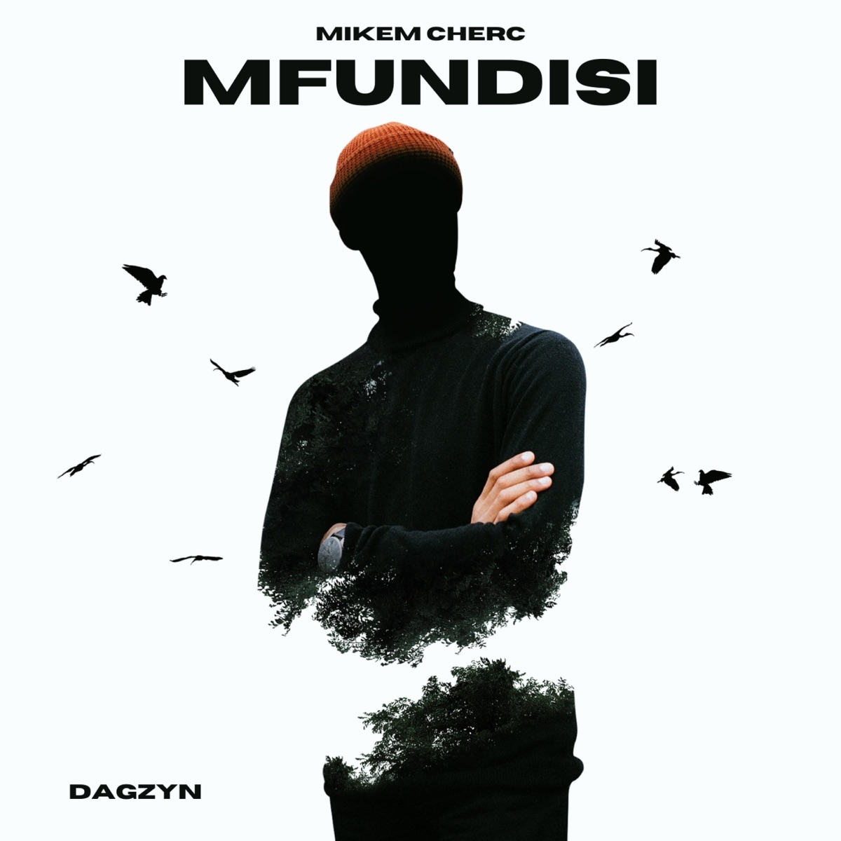 Mfundisi (feat. Dagzyn) - Single by Mikem Cherc album cover