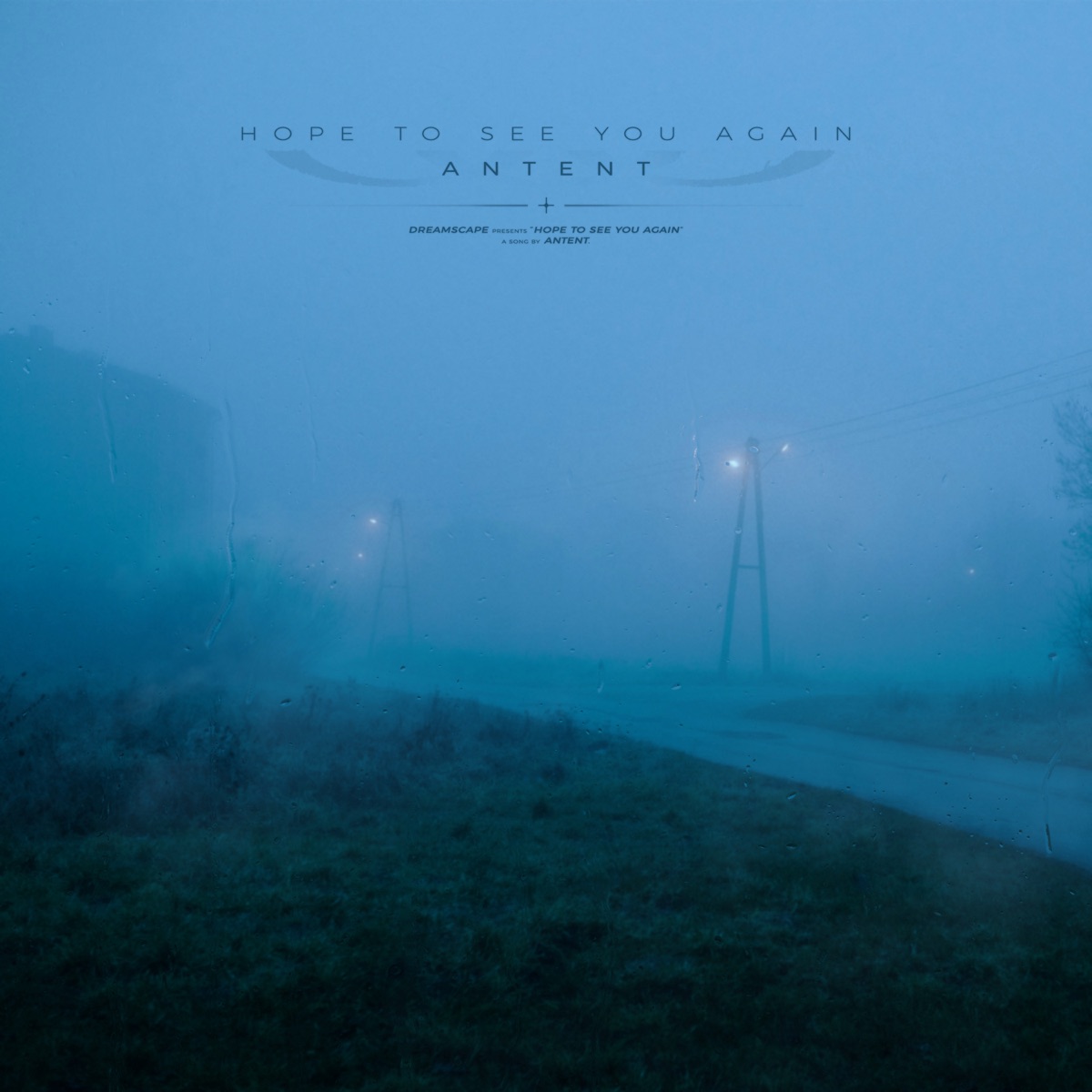 hope to see you again (Remixes) - Single by Antent album cover