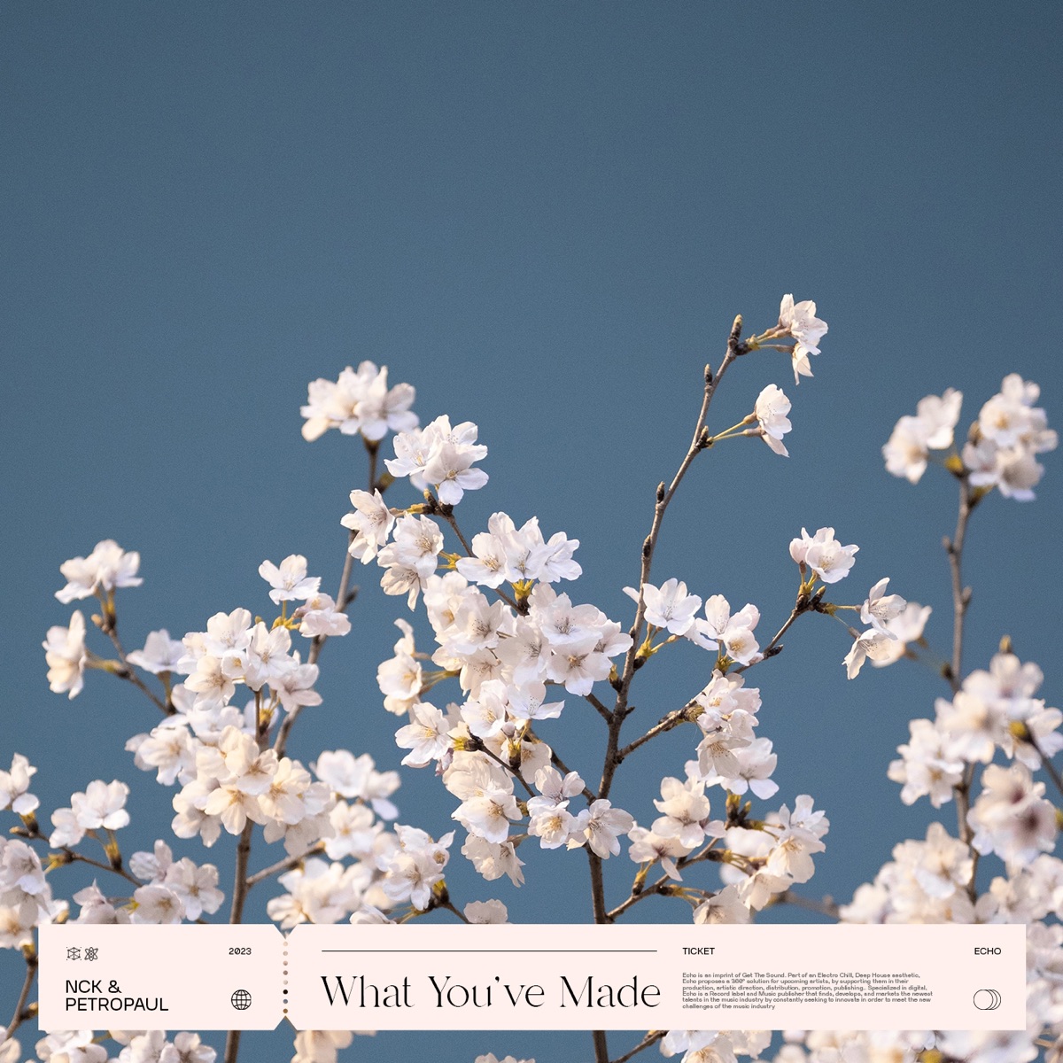 What You've Made - Single by Nck & Petropaul album cover