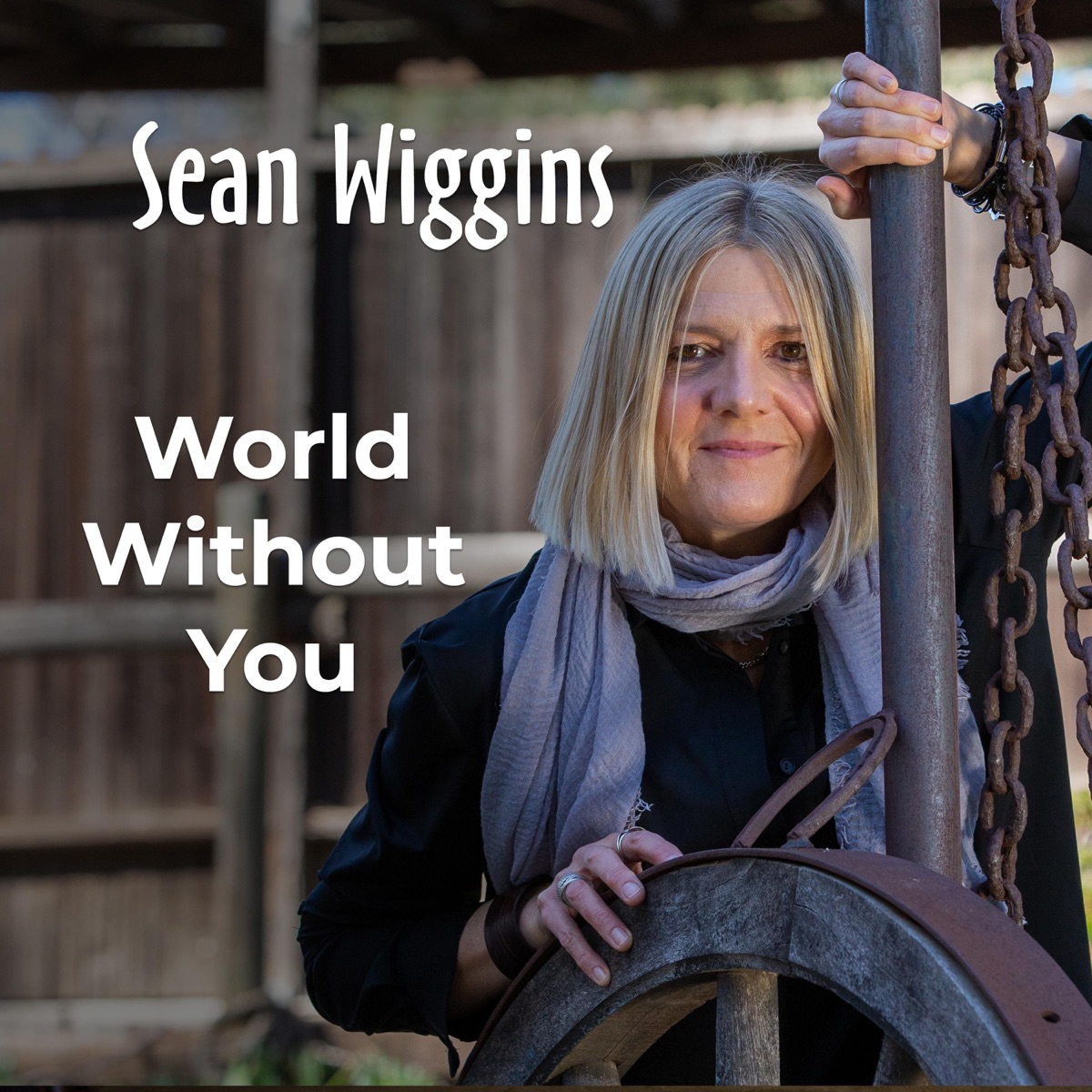 World Without You - Single by Sean Wiggins album cover