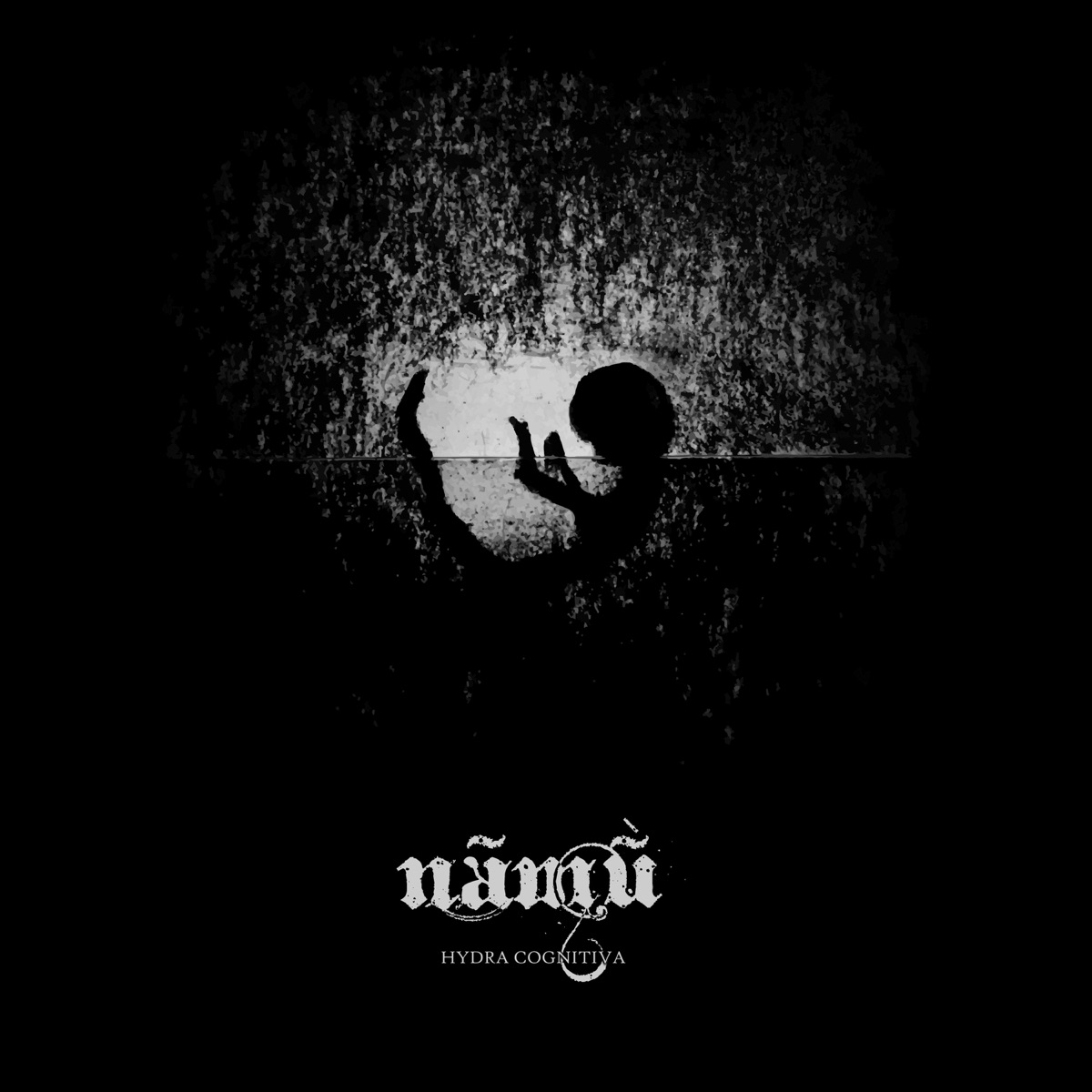 Nãmũ - EP by Hydra Cognitiva album cover