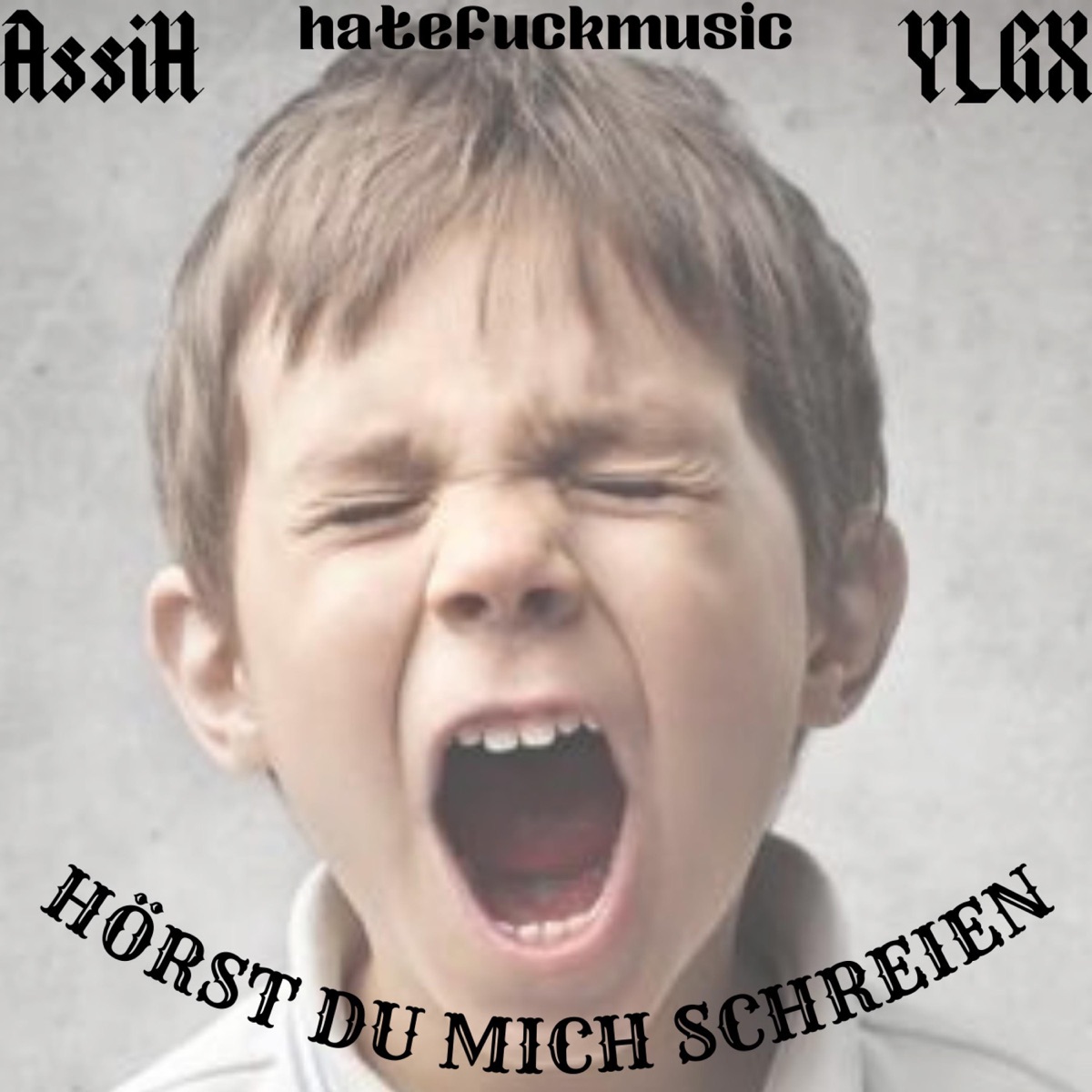 HÖRST DU MICH SCHREIEN - Single by AssiH & YLGX album cover