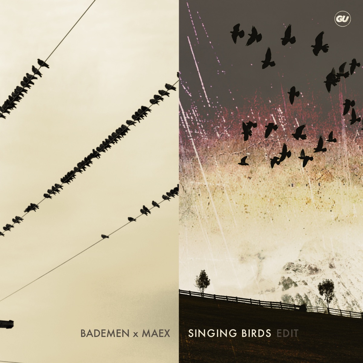 Singing Birds (Edit) - Single by Bademen & Mæx album cover