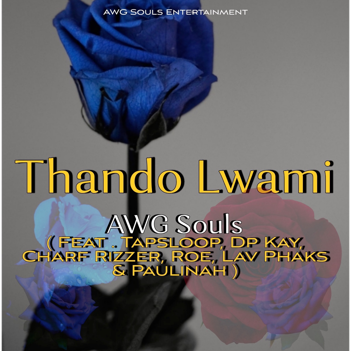 Thando Lwami (feat. RO.e, Paulinah, Charf Rizzer, Tapsloop, DpKay & Lav Phaks) - Single by AWG Souls album cover