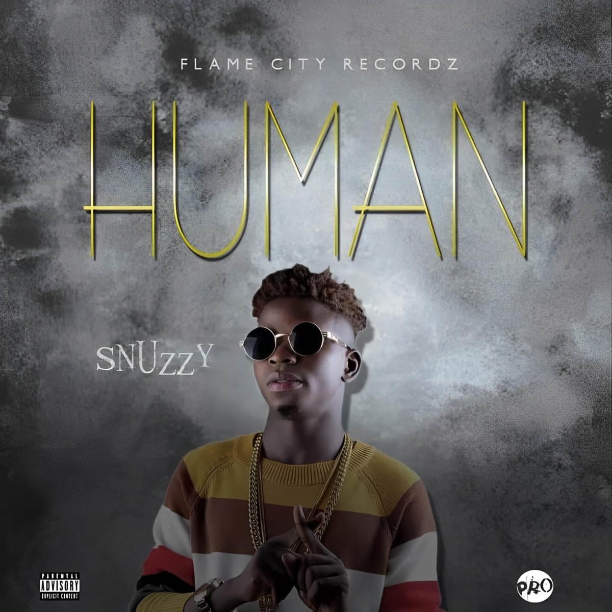 Human - Single by Snuzzy album cover