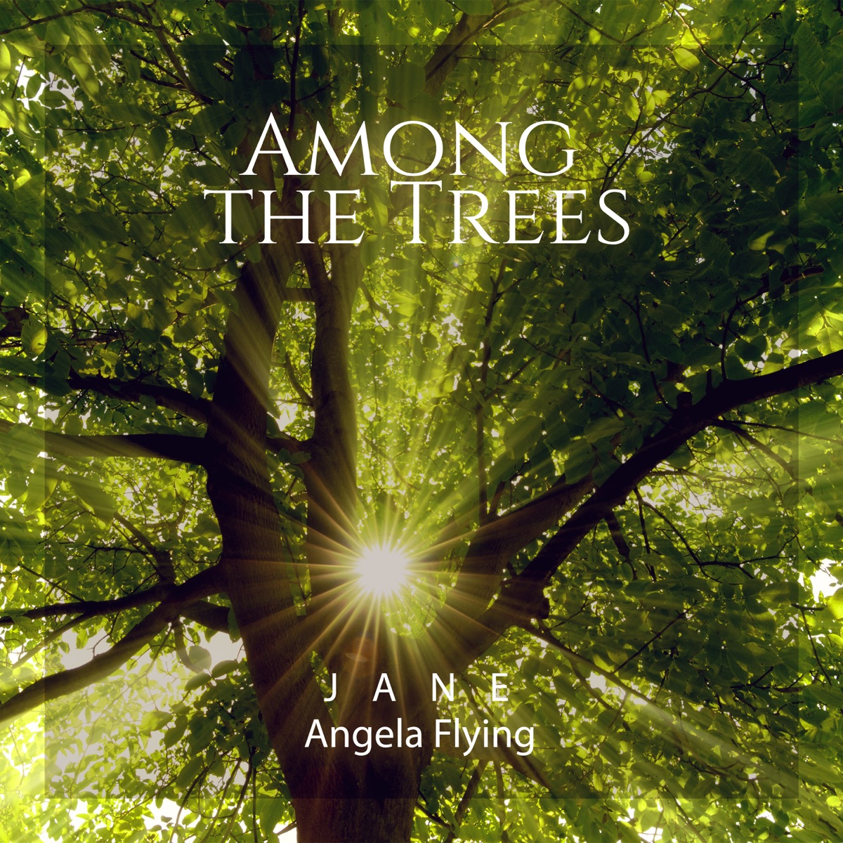 Among the Trees: Delicate Harp with Forest Sensations by Jane - Angela Flying album cover