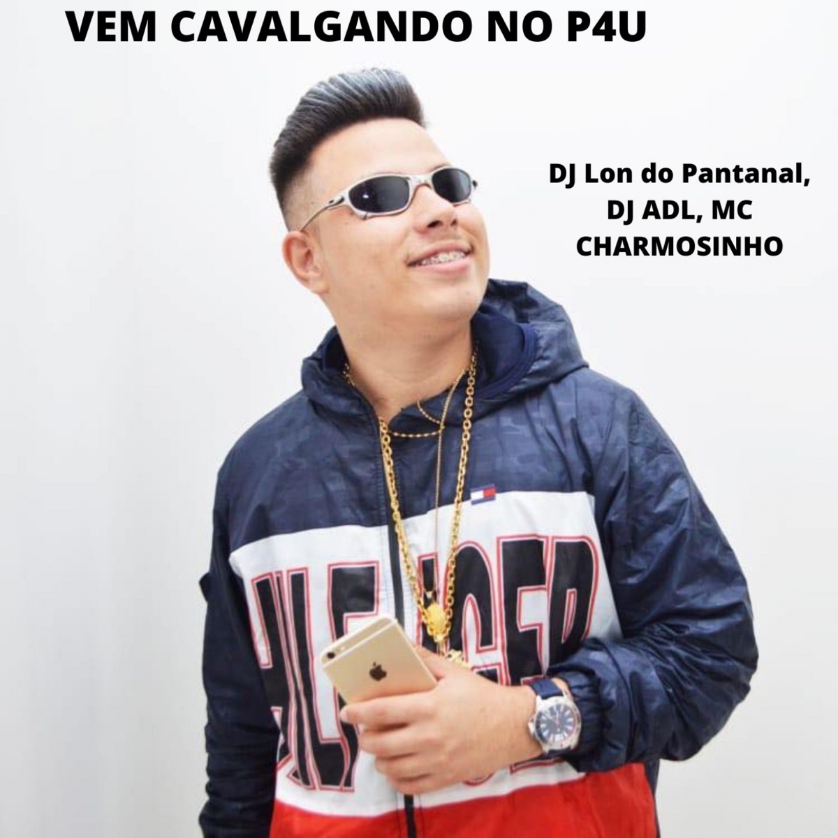 VEM CAVALGANDO NO P4U - Single by DJ Lon do Pantanal, DJ ADL & Mc Charmosinho album cover