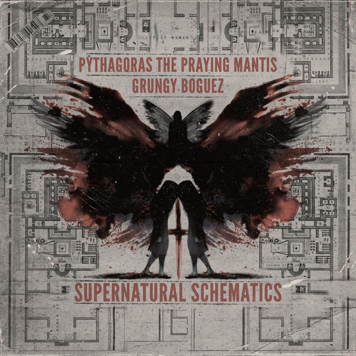 Supernatural Schematics by Pythagoras the Praying Mantis & Grungy Boguez album cover