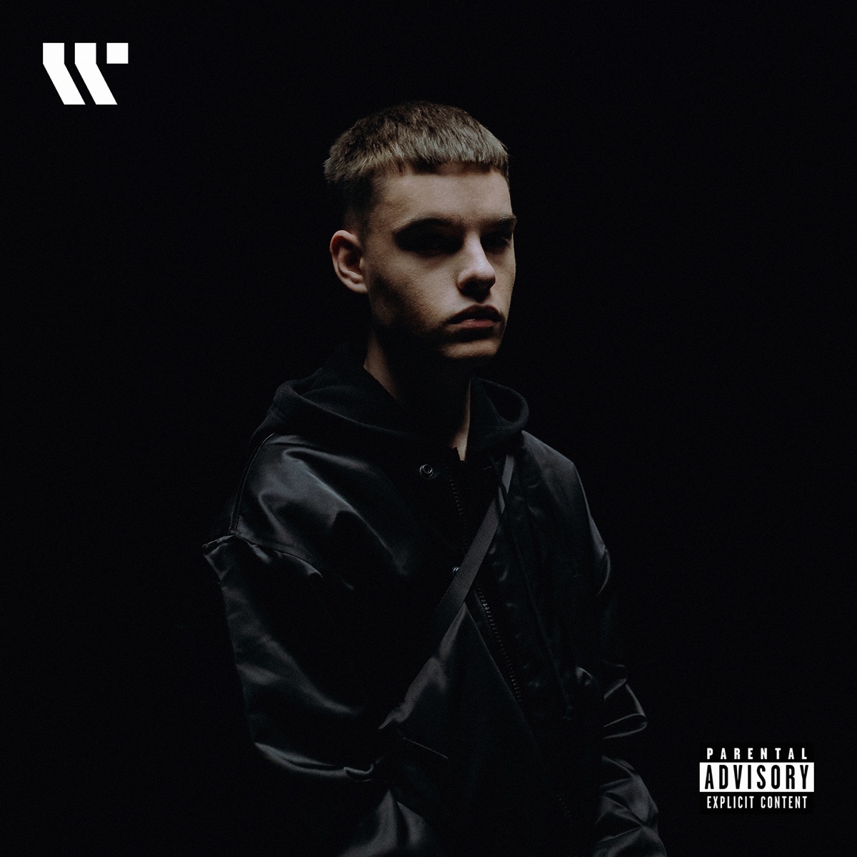 Hood si mě vybral sám - Single by The Mag & HARVEY HF album cover