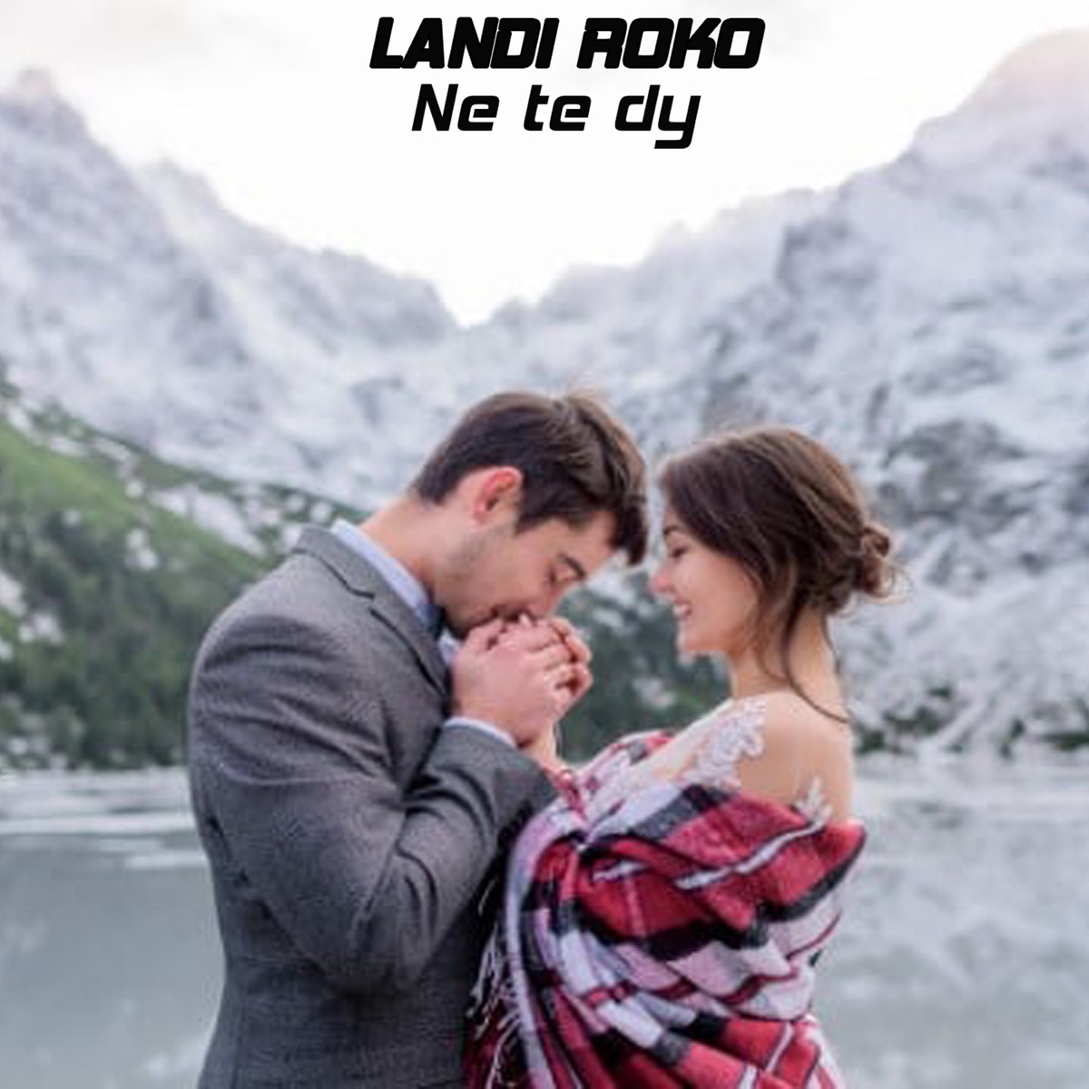 Ne Te Dy - Single by Landi Roko album cover