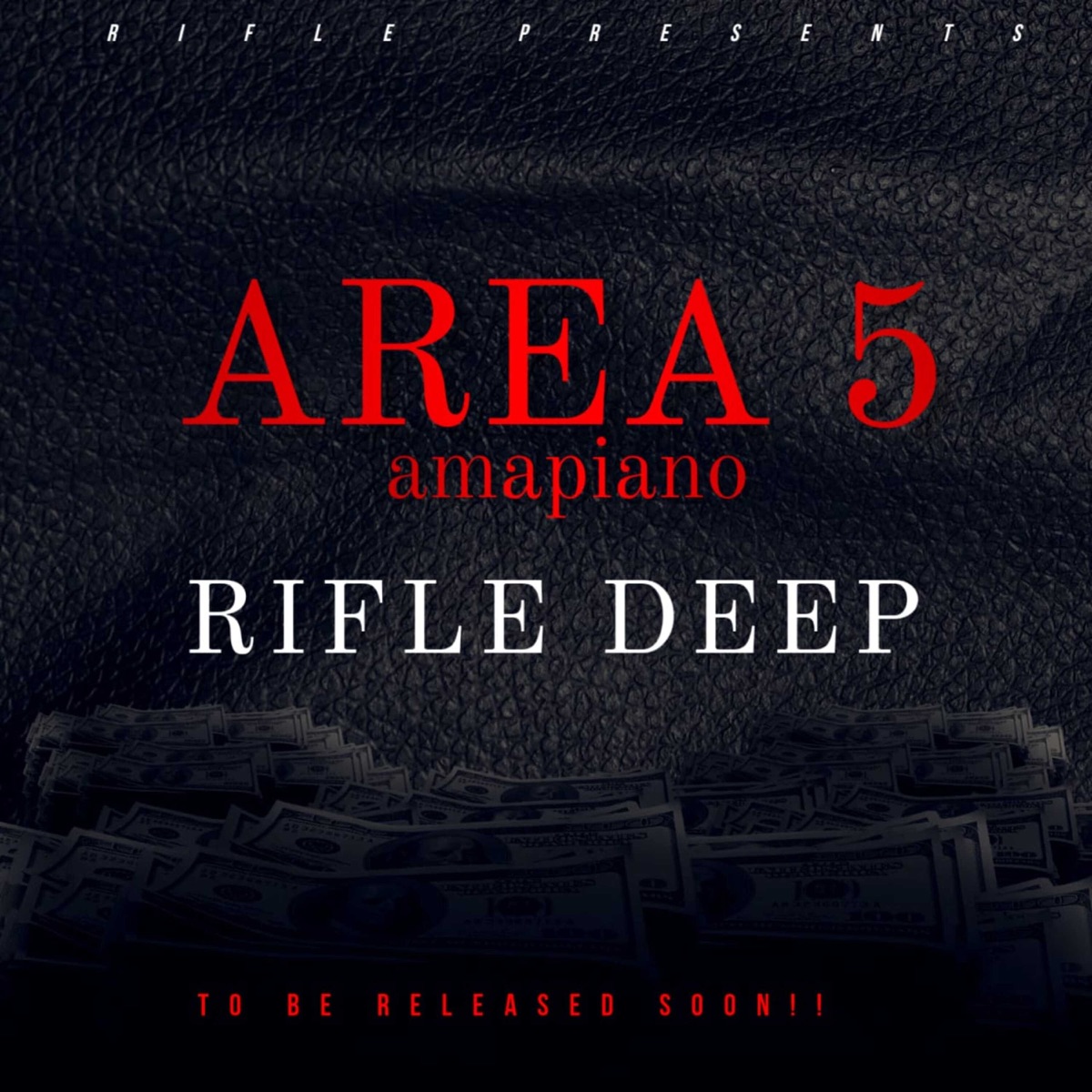 Area 5 - Single by Rifle Deep album cover