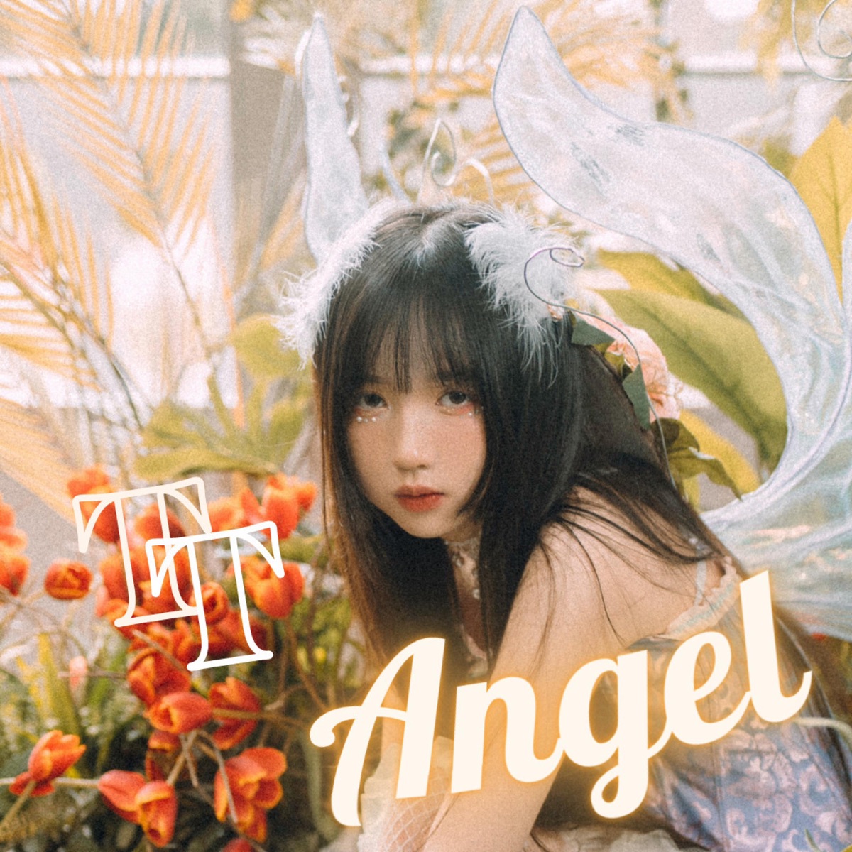 TT Angel (feat. KLG) - Single by Yang E album cover