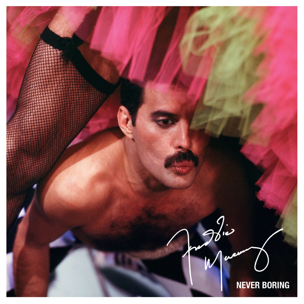 Never Boring by Freddie Mercury album cover