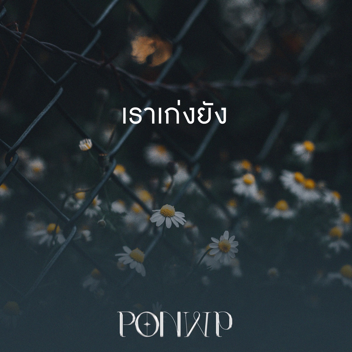เราเก่งยัง - Single by PONWP album cover