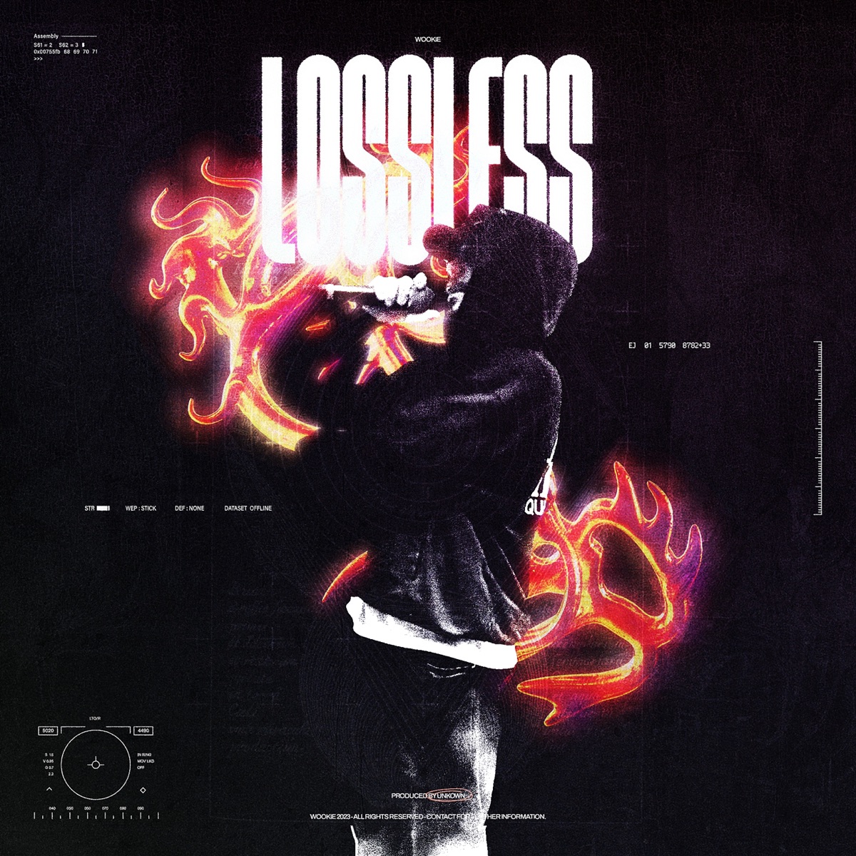 Lossless EP by Wookie album cover