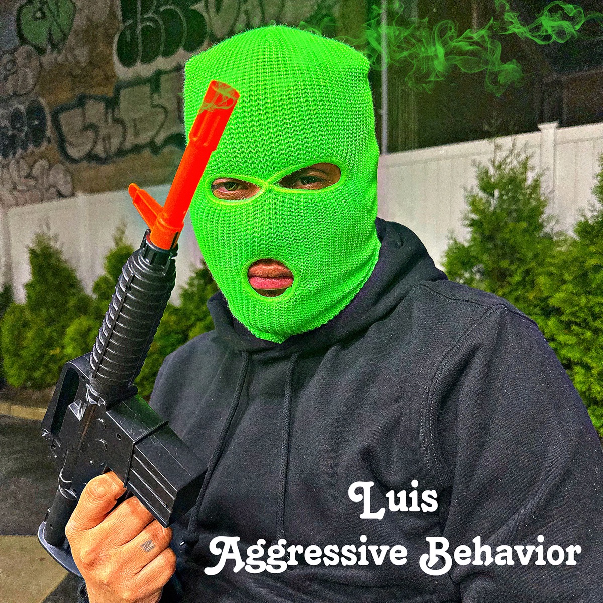 Aggressive Behavior by Luis album cover
