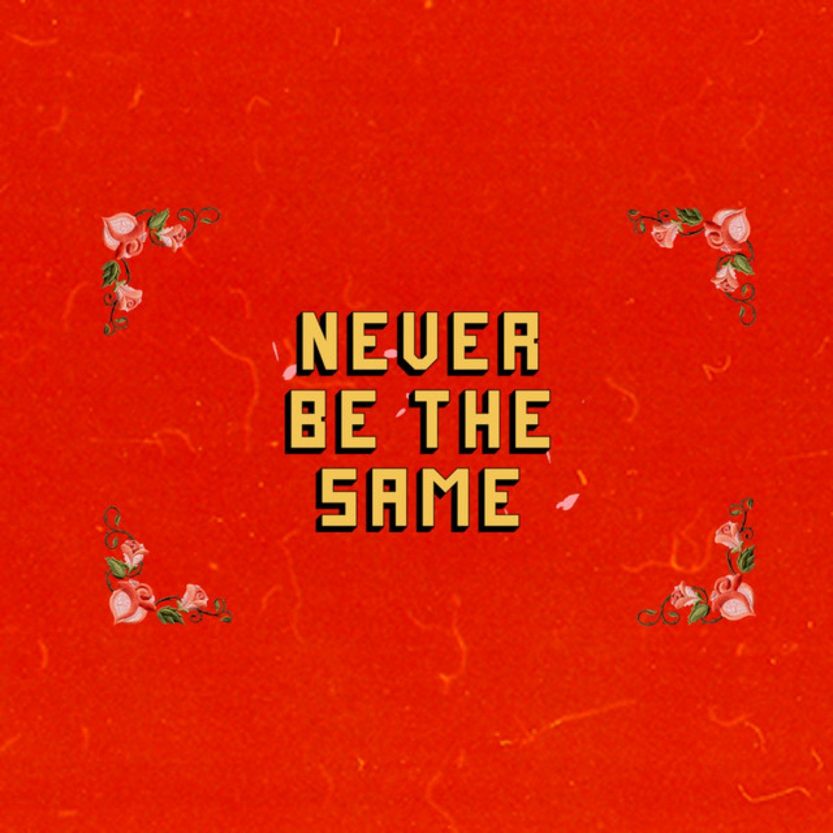 Never Be the Same (feat. Ricky Anthony) - Single by Hiko Momoji album cover