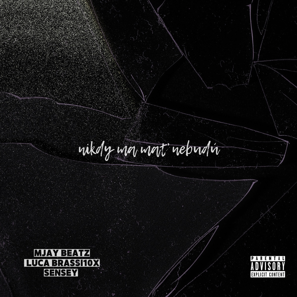 Nikdy ma mať nebudú - Single by Mjay Beatz, Luca Brassi10x & Sensey album cover