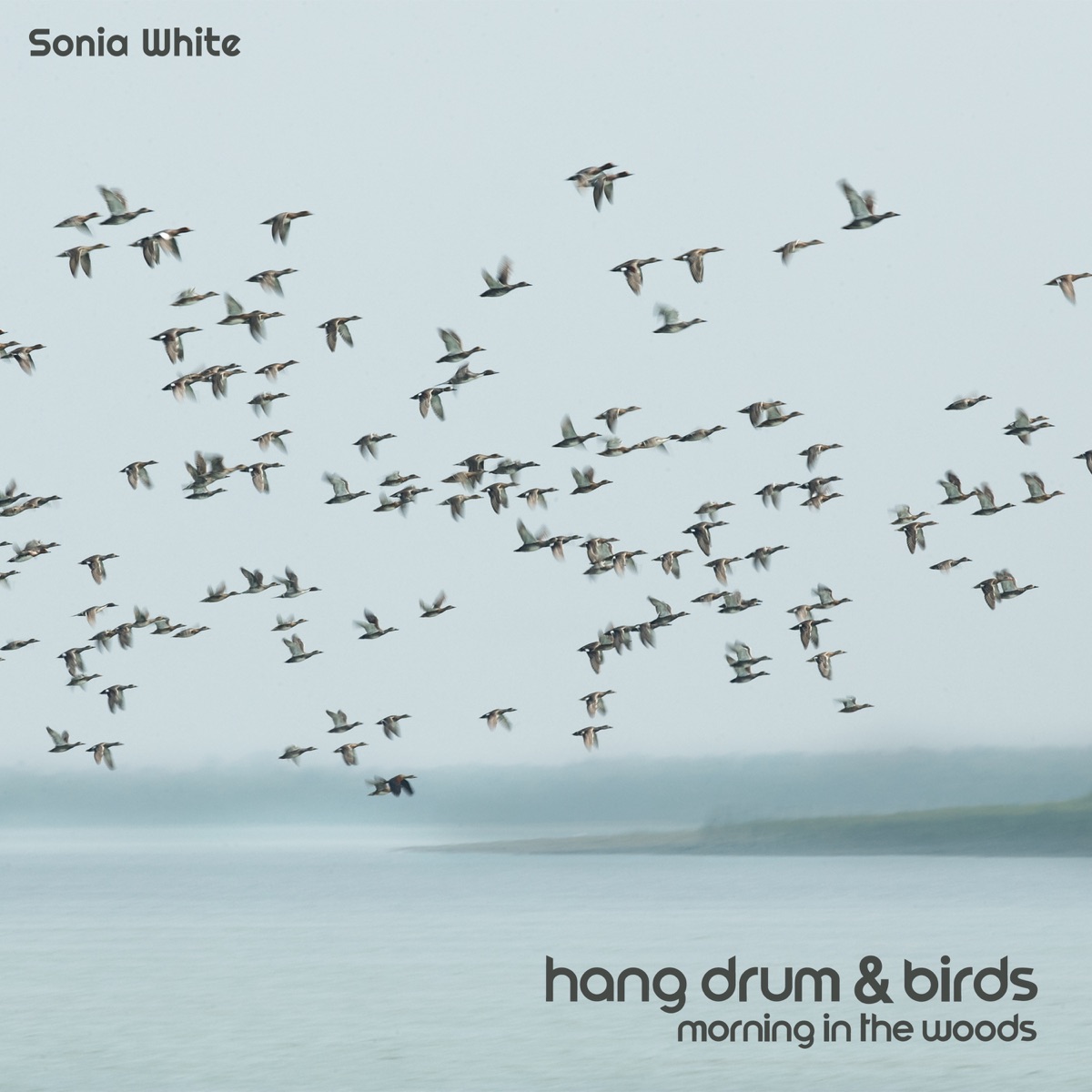Hang Drum & Birds: Morning in the Woods (Nature Ringtones 2022) by Sonia White album cover