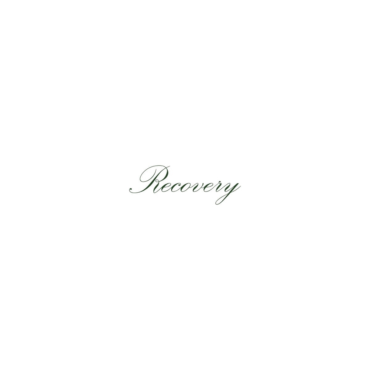 Recovery - Single by Seven album cover