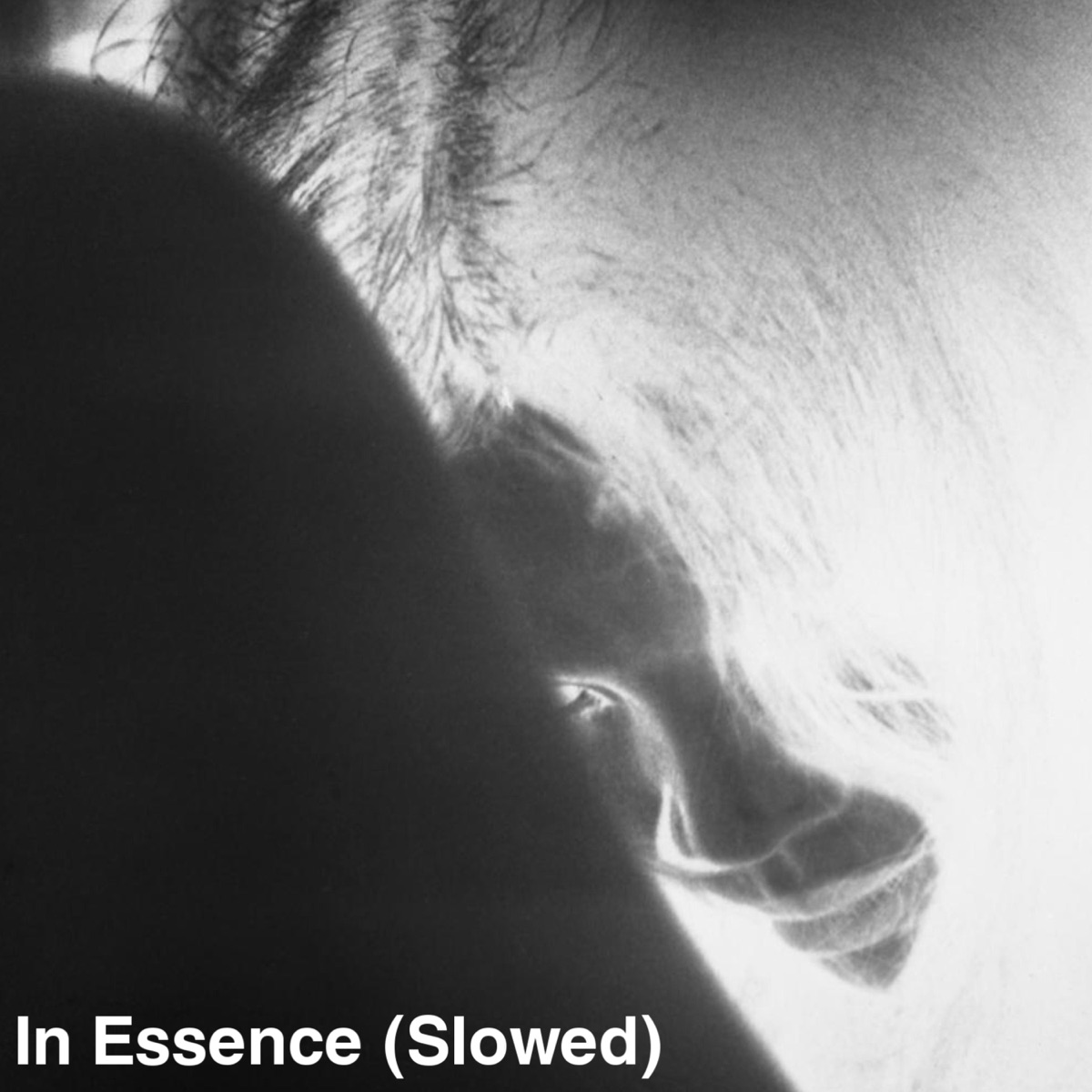 In Essence (Slowed) - Single by Ka$tro album cover