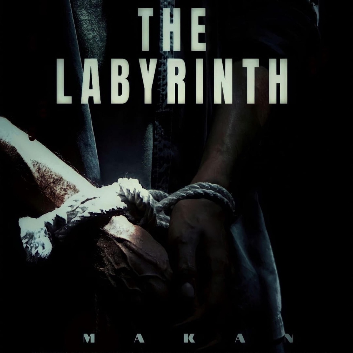 The Labyrinth - Single by MAKAN. album cover
