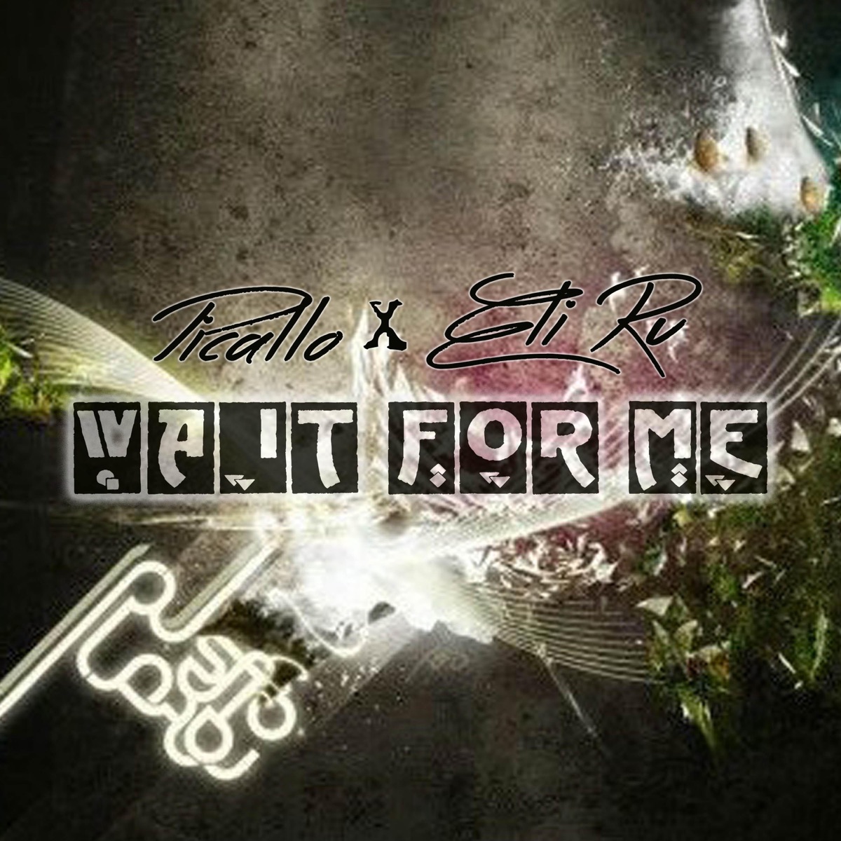 Wait For Me (feat. Eli Ru) - Single by Picallo album cover
