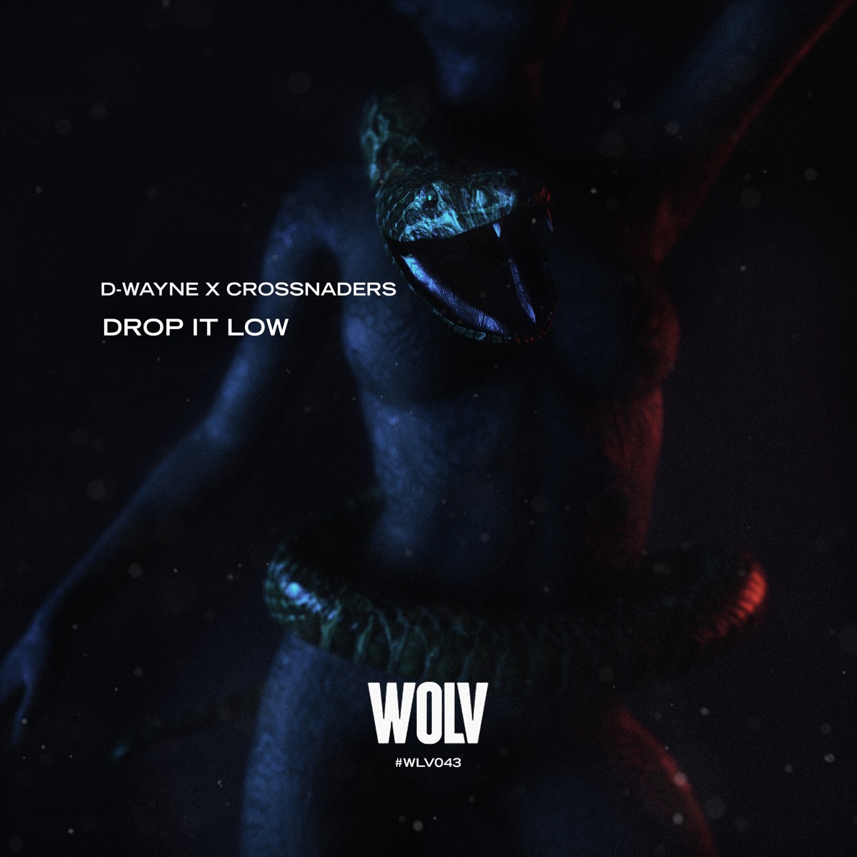 Drop It Low - Single by D-wayne & Crossnaders album cover