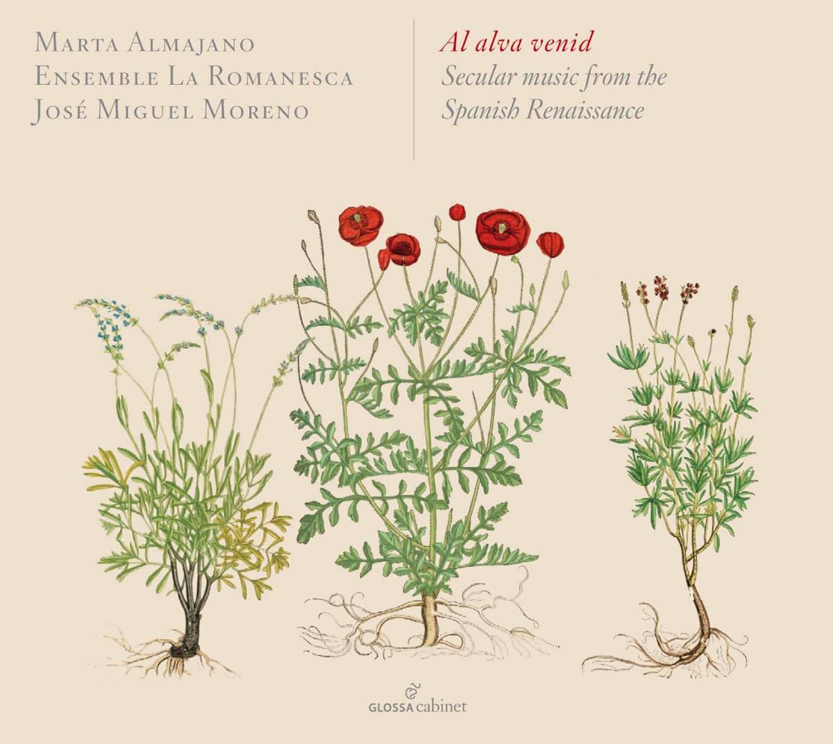 Al alva venid: Secular Music from the Spanish Renaissance by Marta Almajano, Ensemble La Romanesca & José Miguel Moreno album cover