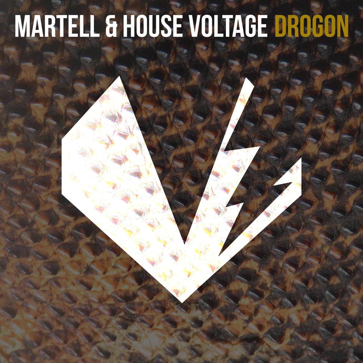 Drogon - Single by Martell & House Voltage album cover