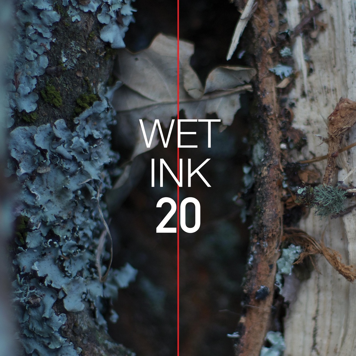Wet Ink 20 by Wet Ink Ensemble album cover