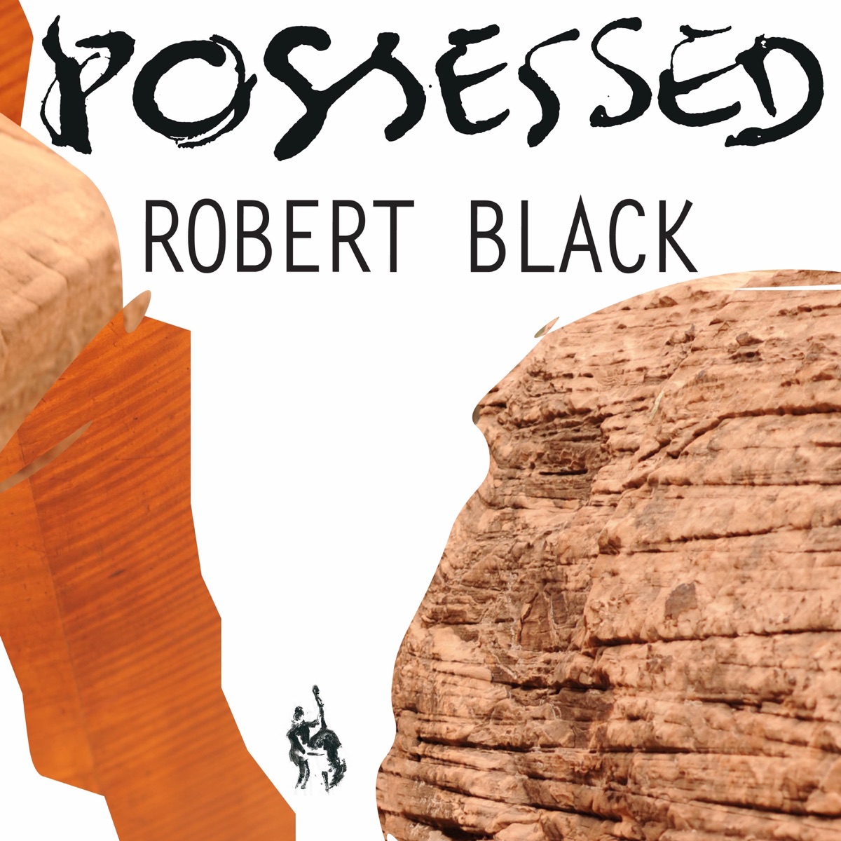 Possessed by Robert Black album cover