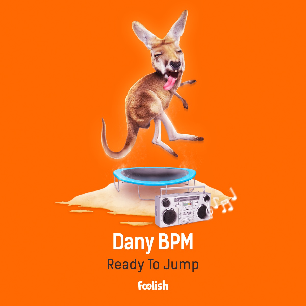 Ready to Jump - Single by Dany Bpm album cover
