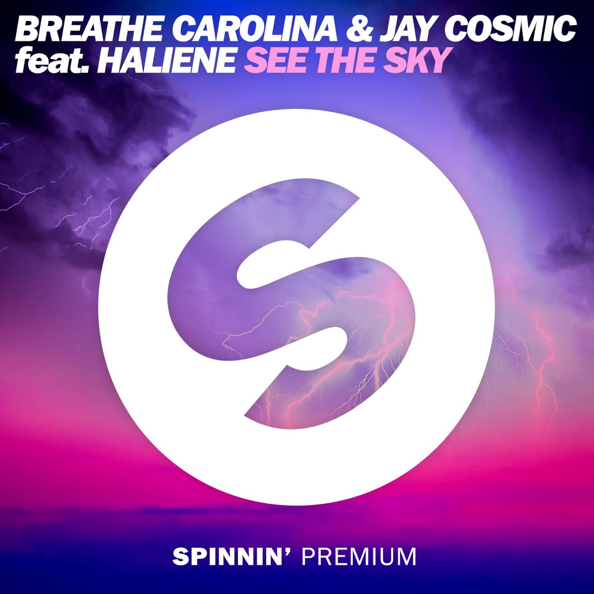 See The Sky (feat. HALIENE) - Single by Breathe Carolina & Jay Cosmic album cover