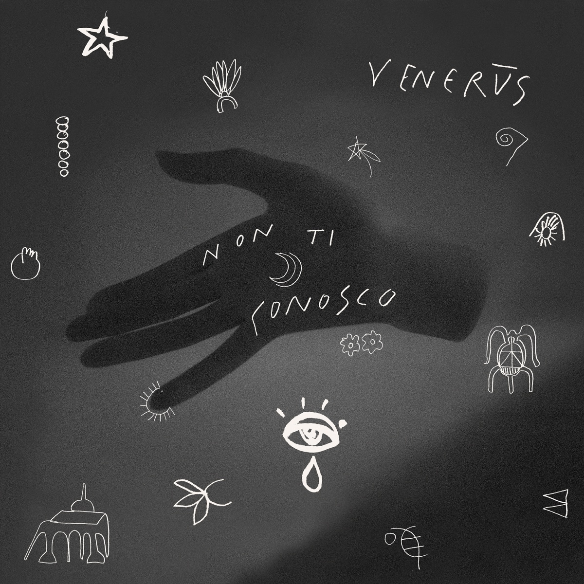 Non ti conosco - Single by Venerus album cover