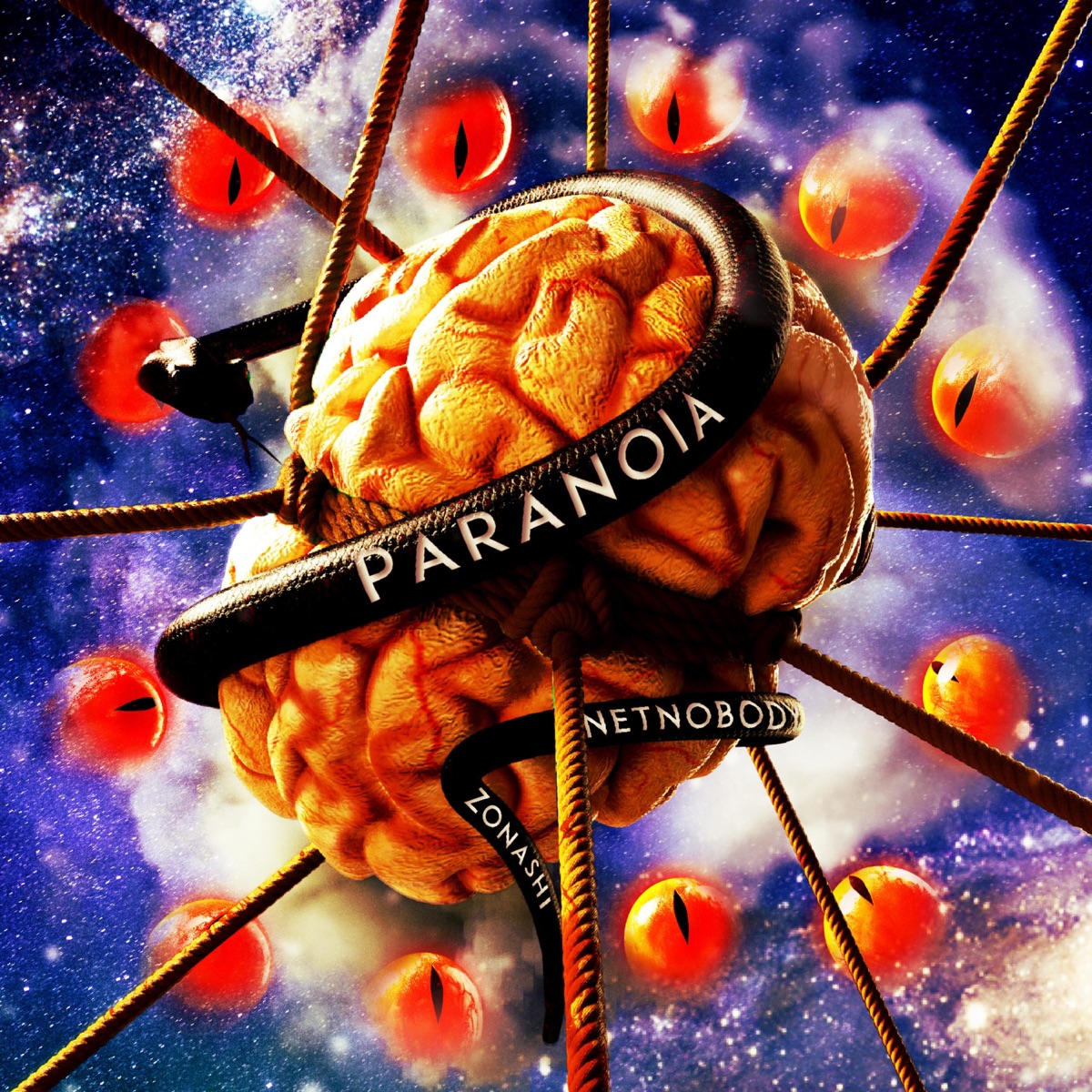 Paranoia (Feat. Zonashi) - Single by NetNobody album cover