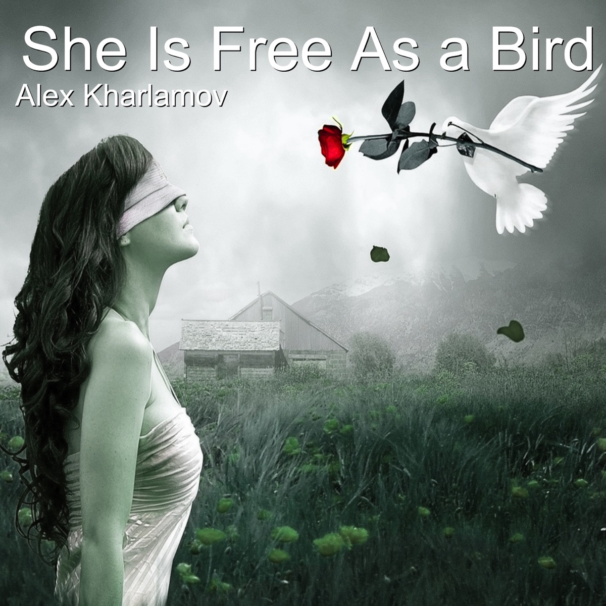 She Is Free as a Bird - Single by Alex Kharlamov album cover