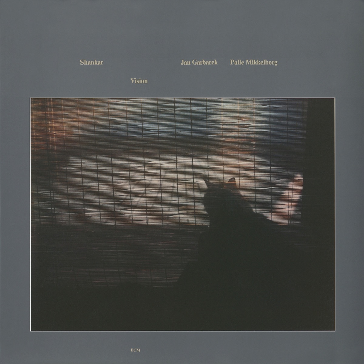 Vision by L. Shankar album cover