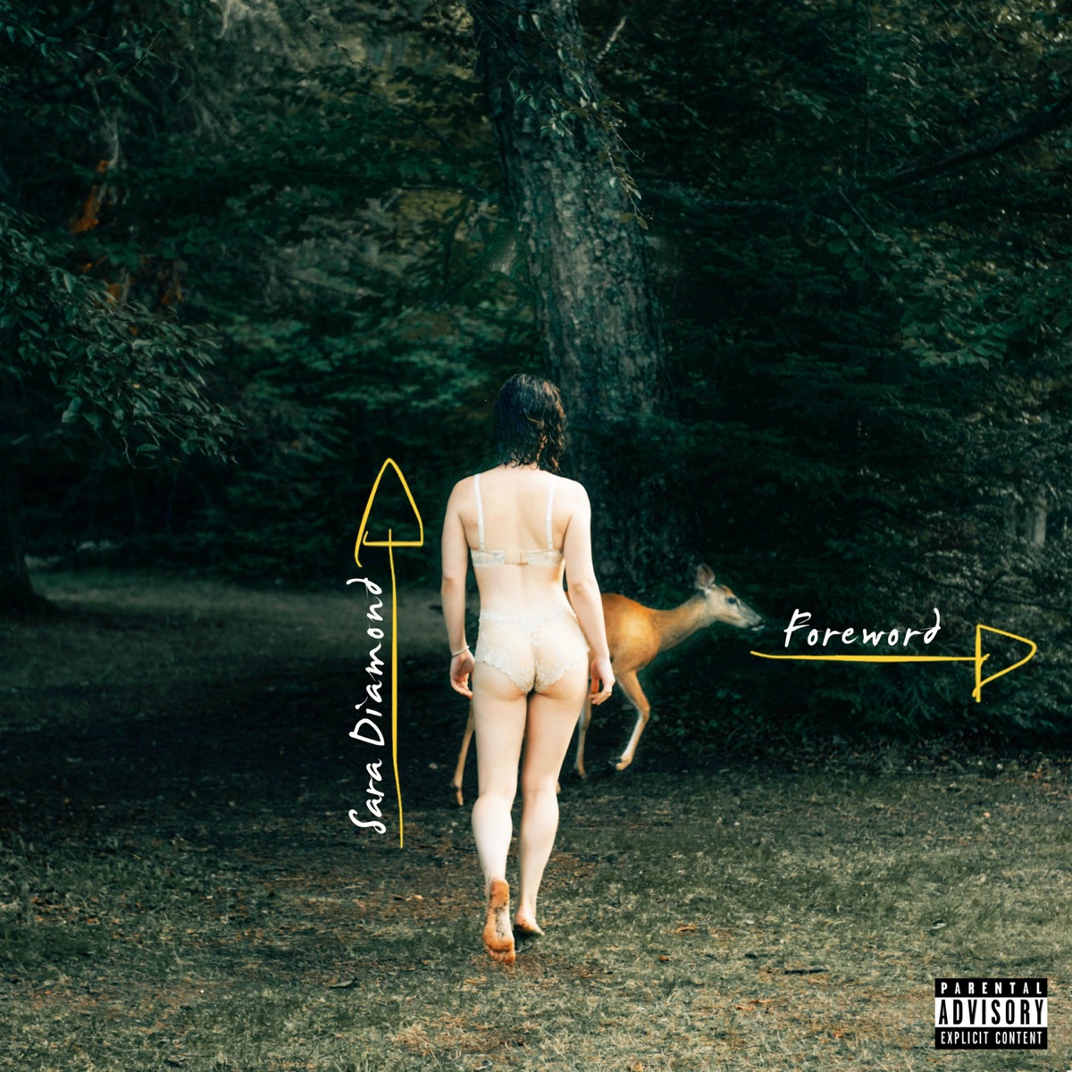 Foreword by Sara Diamond album cover