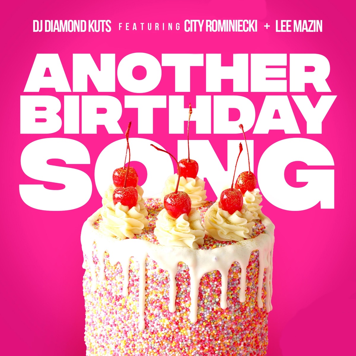 Another Birthday Song (feat. City Rominiecki & Lee Mazin) - Single by DJ Diamond Kuts album cover