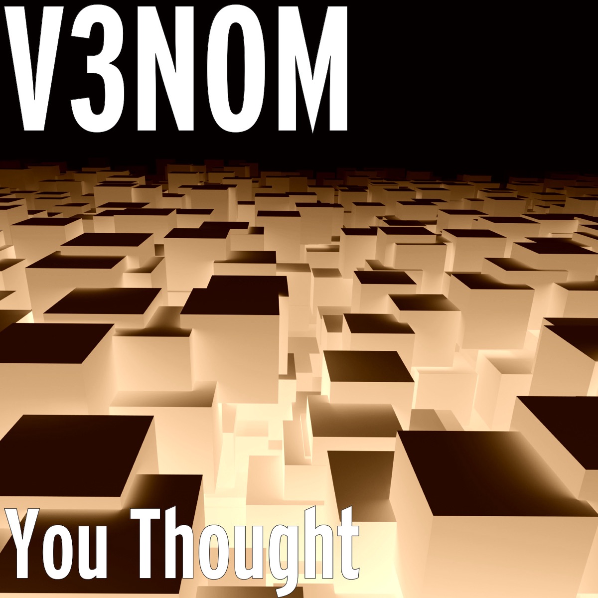 You Thought - EP by V3NOM album cover