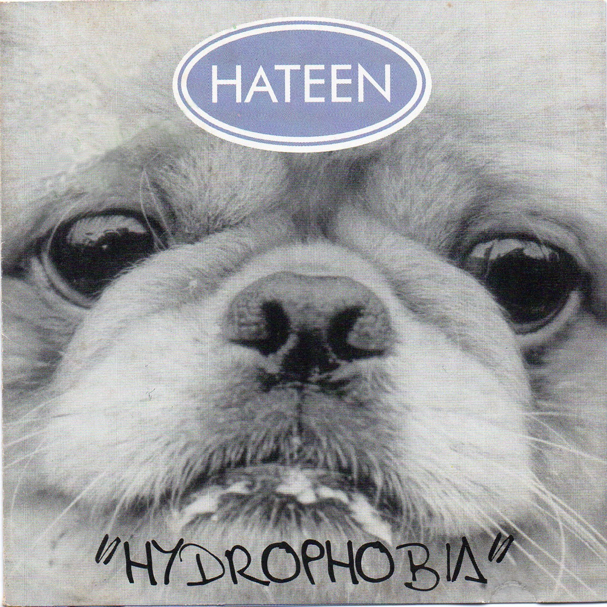 Hydrophobia by Hateen album cover