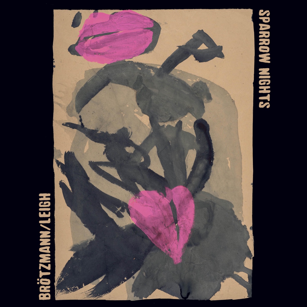 Sparrow Nights by Peter Brötzmann & Heather Leigh album cover