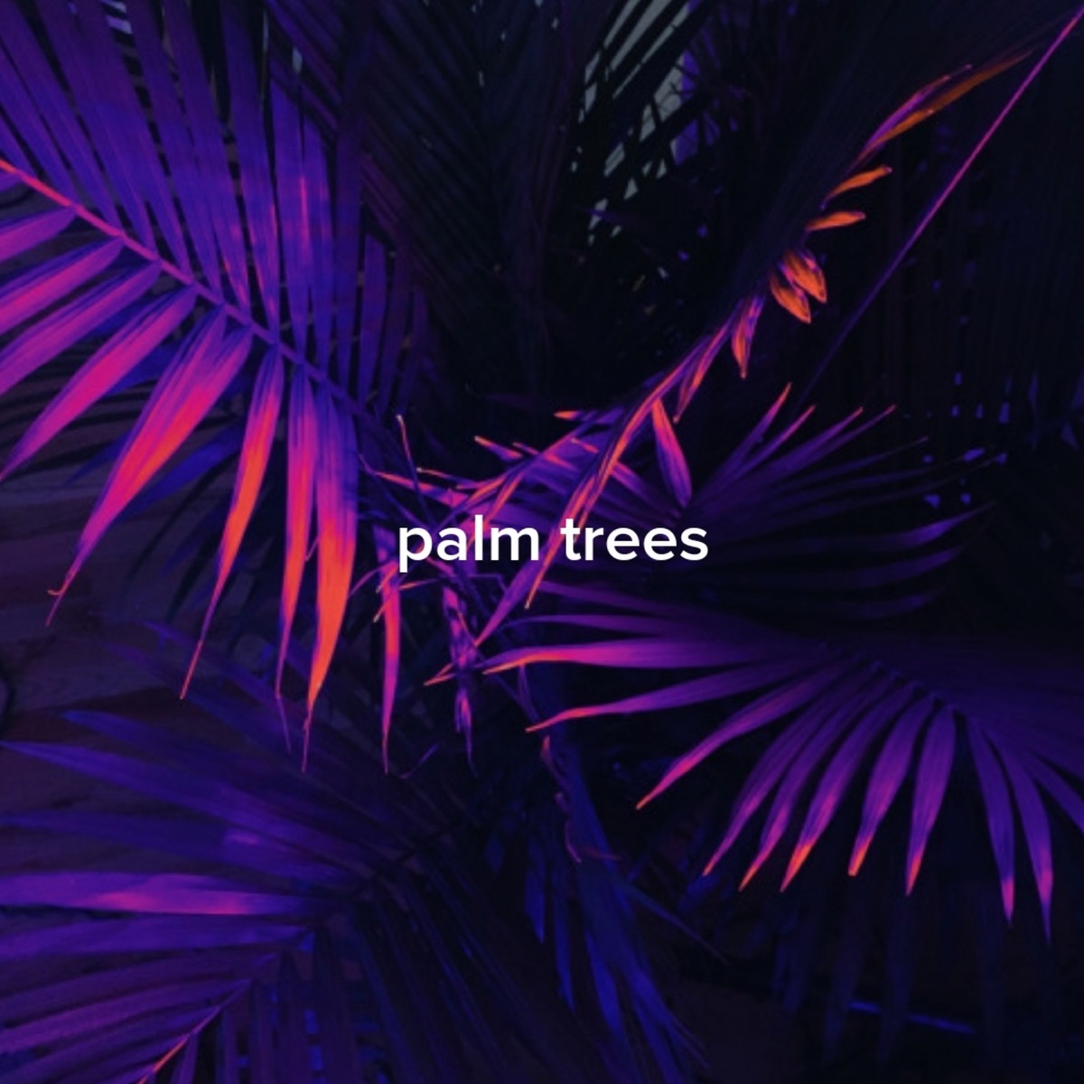 Palm Trees - Single by Slick James album cover